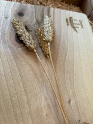 Deska do krojenia z orzecha włoskiego - monolit Driftwood 14