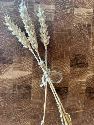 Deska sztorcowa Driftwood nr 6