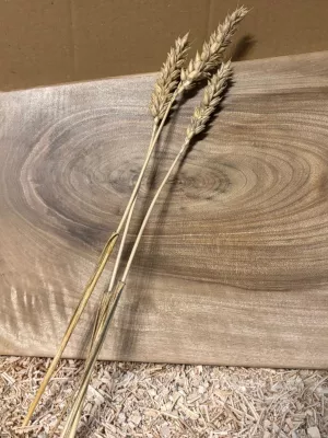 Deska do krojenia z orzecha włoskiego - monolit Driftwood 19