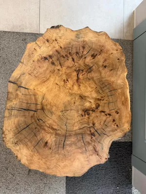 Stolik kawowy z plastra wiązu driftwood