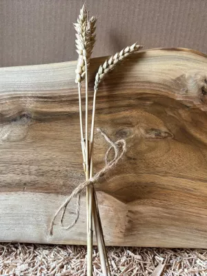 Deska do krojenia z orzecha włoskiego - monolit Driftwood 21