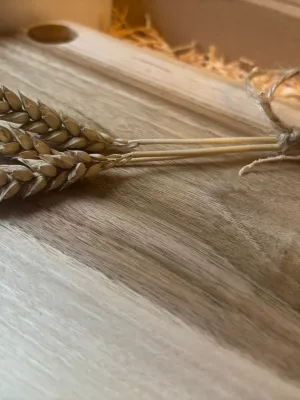 Deska do krojenia z orzecha włoskiego - monolit Driftwood nr 11