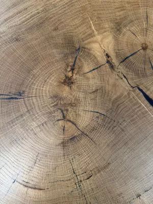 Stolik kawowy dębowy - plaster dębowy Driftwood
