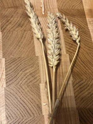 deska do krojenia  sztorcowa dębowo-bukowa driftwood twój grawer  twoje logo twój tekst personalizowana