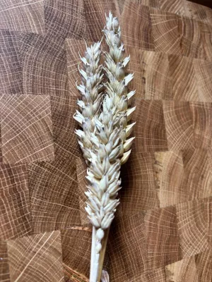 Deska do krojenia sztorcowa dębowa 30 na 40 Driftwood nr 13