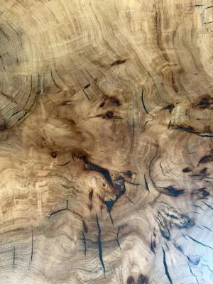 Stolik kawowy z plastra wiązu driftwood